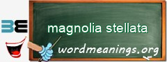 WordMeaning blackboard for magnolia stellata